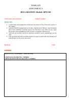 TEMPLATE_assignment 4 - Copy (1).docx